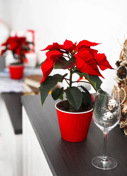 Natale fiore poinsettia e decorazioni — Foto Stock