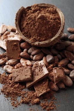 Aromatik kakao çekirdekleri ve gri arka plan üzerine çikolata ile kase, yakın çekim