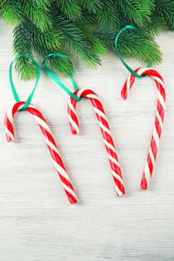 Lolipop şekerler köknar ağacı dalları ile