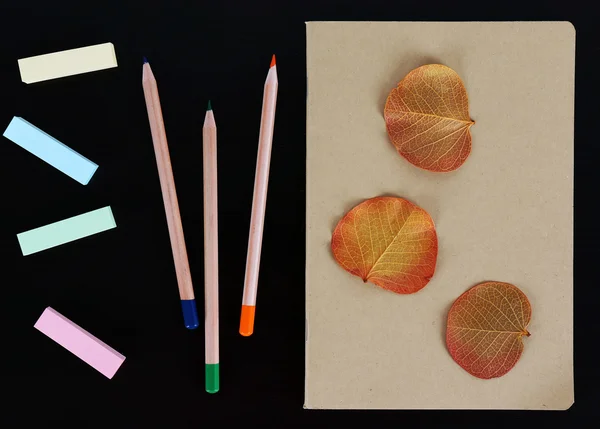Caderno com lápis de cor, folhas secas e autocolantes — Fotografia de Stock