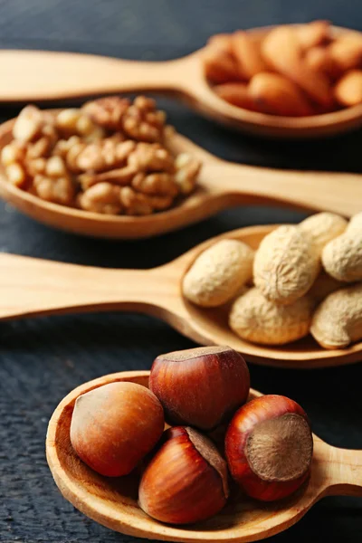 Lepels met hazelnoten, walnoten, amandelen en pinda's, close-up — Stockfoto