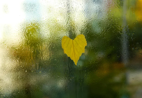 Hoja en forma de corazón —  Fotos de Stock