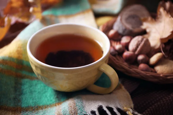杯茶，秋装饰木制的桌子上. — 图库照片