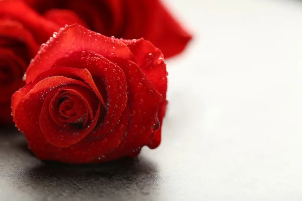 Hermosas rosas rojas sobre fondo gris oscuro —  Fotos de Stock