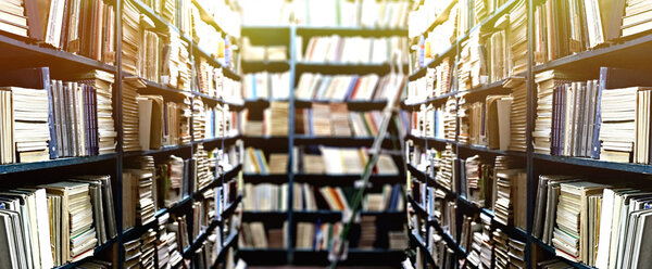 Library bookshelves with books