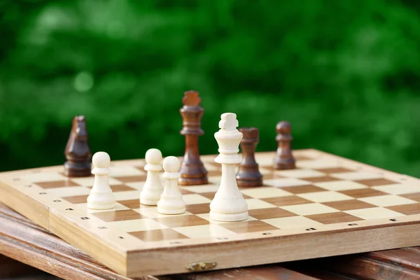 Chess pieces and game board