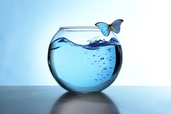 Fish bowl with water — Stock Photo, Image