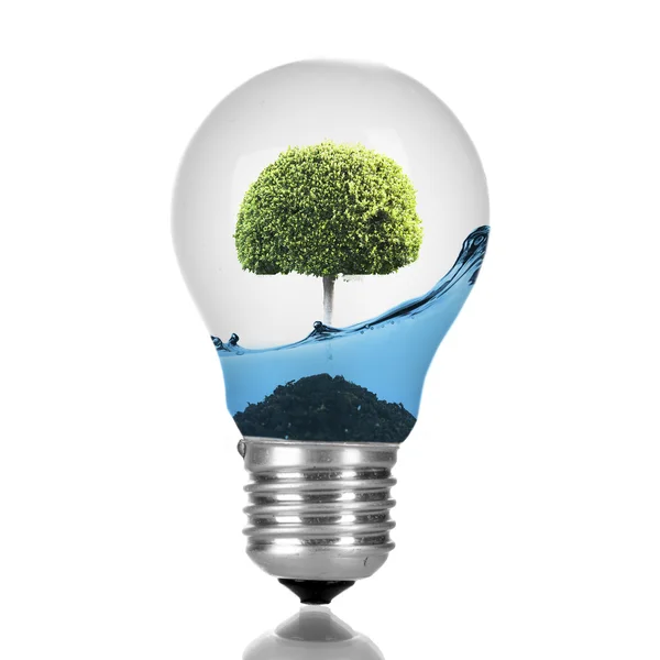 Green eco energy concept — Stock Photo, Image