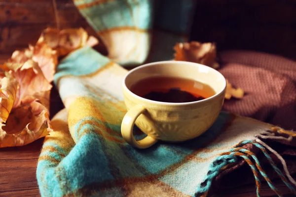 Cup of tea with autumn decor — Stock Photo, Image