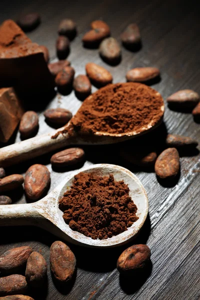 Lepel met aromatische cacao en chocolade — Stockfoto