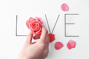Yazıt aşk pembe Gül ve el ile