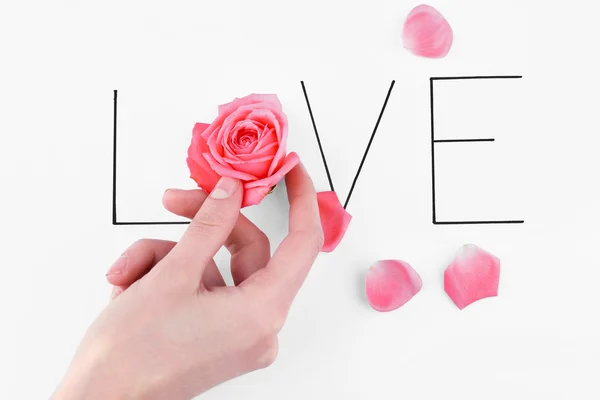 Inscription love with pink rose and hand — Stock Photo, Image