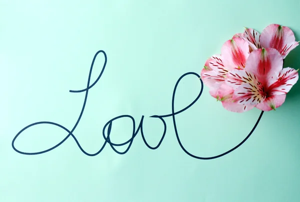 Inscripción amor con flores rosadas — Foto de Stock