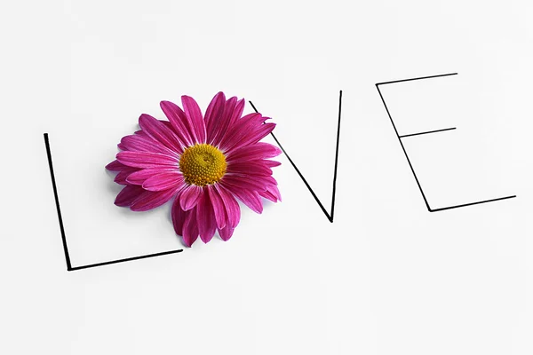 Pembe çiçek sevgiyle yazıt — Stok fotoğraf