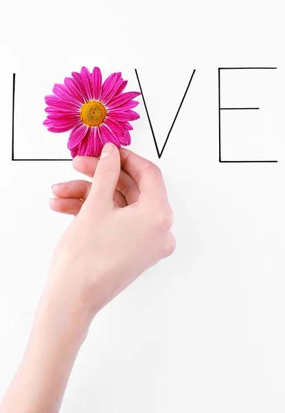 Inscription love with pink flower — Stock Photo, Image