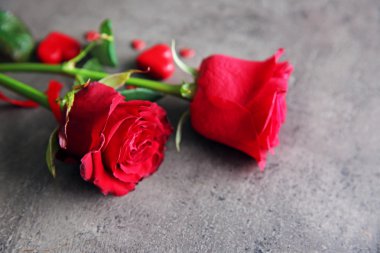 güzel kırmızı gül