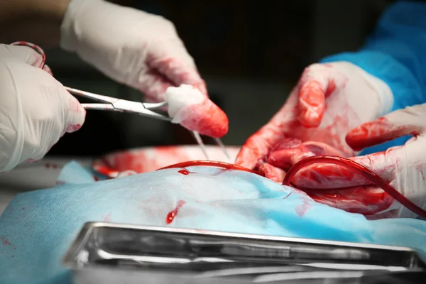 Doctor doing heart operation — Stock Photo, Image