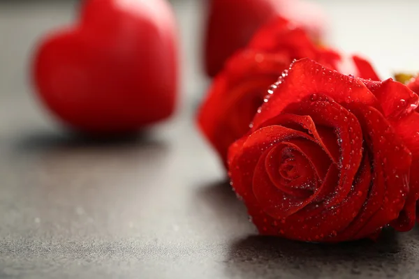 Beautiful red roses — Stock Photo, Image