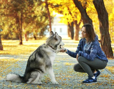 Parkta köpek gezdiren kadın.