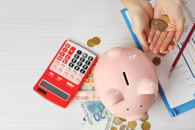 Mali tasarruf kavramı