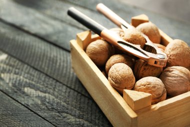 Bir kutu ceviz ve Fındıkkıran 