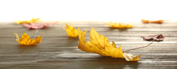 Yellow autumn leaves — Stock Photo, Image