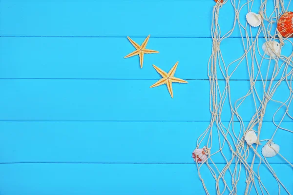 Deniz kabuklarını ve Balık ağı — Stok fotoğraf