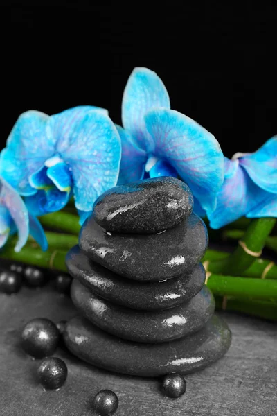 Spa composition with blue orchid — Stock Photo, Image