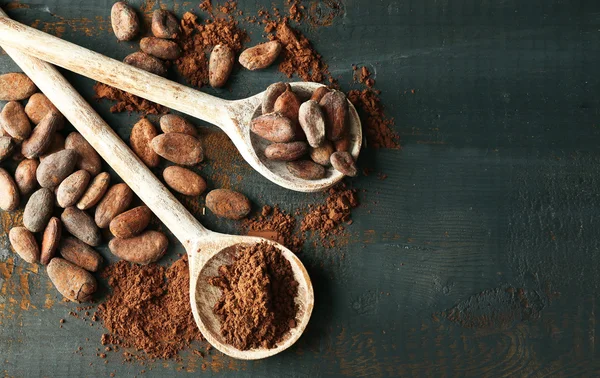 Spoons with cocoa powder and beans — Stock Photo, Image