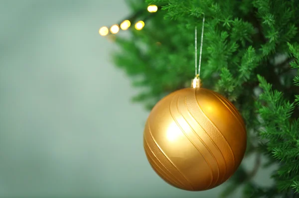 Bola de Navidad en rama de abeto — Foto de Stock