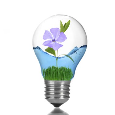 yeşil eko enerji kavramı