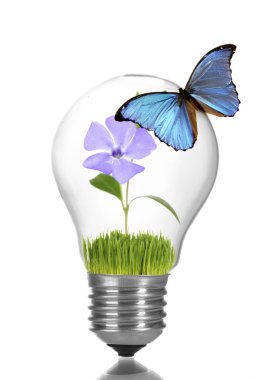 Renkli kelebek ampul üzerinde oturan