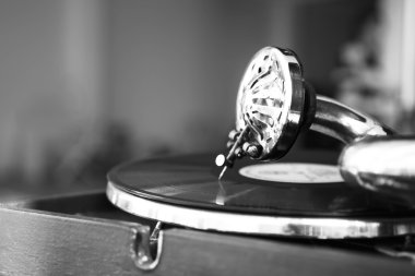 Eski gramofon portre