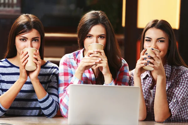 Migliori amici con il computer portatile — Foto Stock