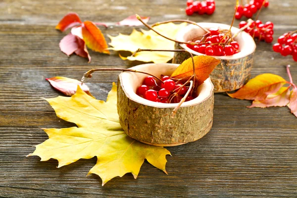 Autumn leaves background — Stock Photo, Image