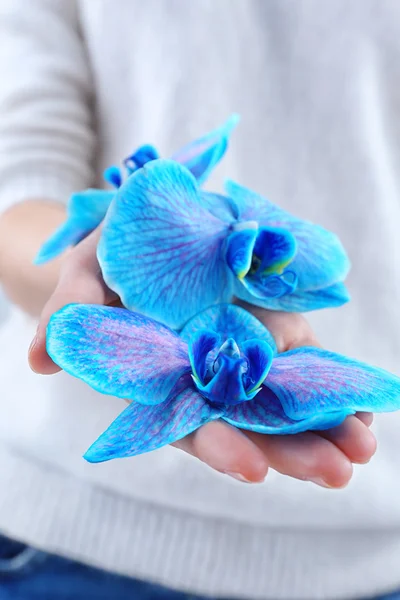 Belles orchidées bleues dans les mains de la femme — Photo