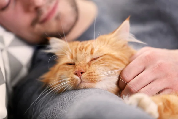 Durmiendo joven hombre con rojo gato —  Fotos de Stock
