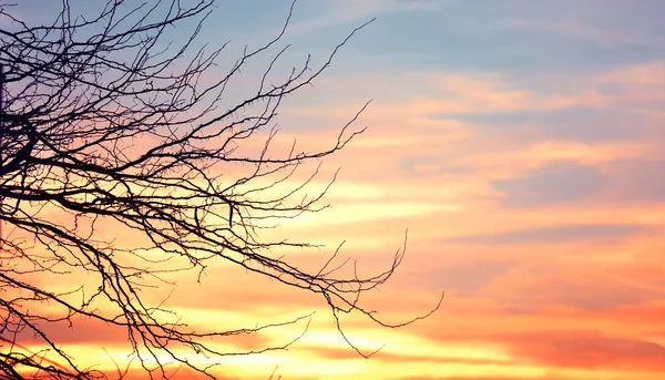 Beautiful picturesque sunrise — Stock Photo, Image