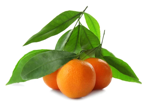 Reife Mandarinen mit grünen Blättern — Stockfoto