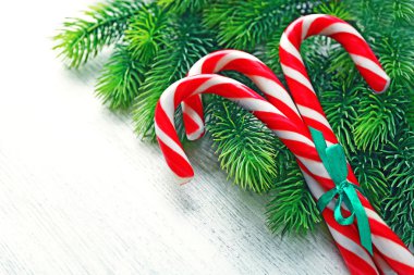 Lolipop şekerler köknar ağacı dalları ile