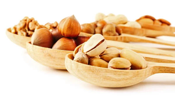 Houten lepels met hazelnoten, walnoten, pistachenoten, amandelen, eikels en pinda's, geïsoleerd op wit — Stockfoto