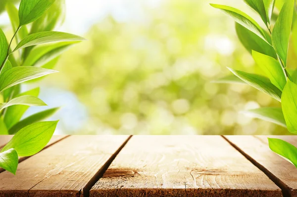 Våren eller sommaren natur bakgrund — Stockfoto