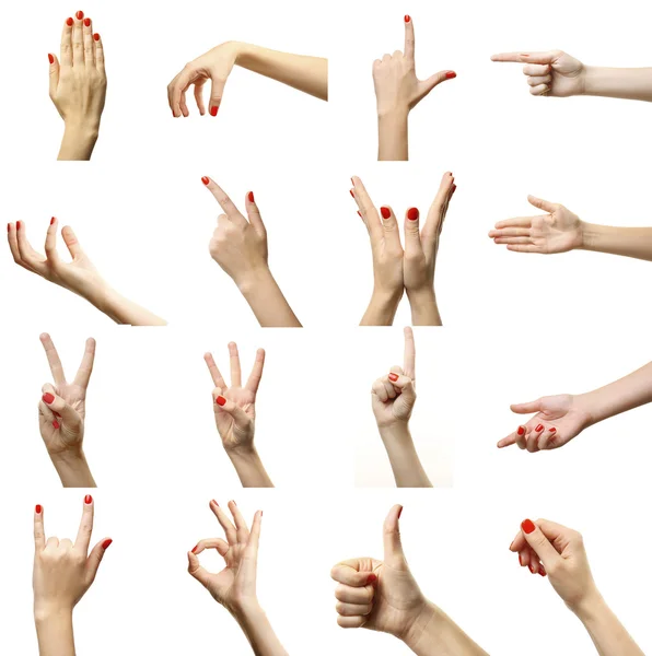 Set of female hands gestures — Stock Photo, Image