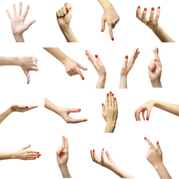 Set di gesti delle mani femminili — Foto Stock