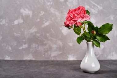 Evdeki gri beton masada beyaz vazoda pembe gül, boşluğu kopyala. Sevgililer Günü, Anneler Günü, Doğum günü