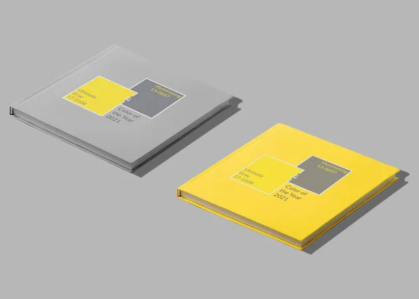 Notizbücher Auf Papierhintergrund Kopierraum Erleuchtend Ultimativ Grau Farbe Des Jahres — Stockfoto