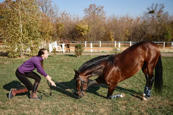 Jovem Agricultora Cuidando Cavalo Rancho Dia Verão Espaço Cópia Menina — Fotografia de Stock