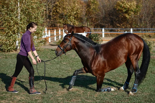 Giovane Contadina Che Prende Cura Cavallo Ranch Giorno Estate Copiare — Foto Stock