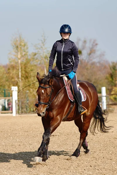 Jonge Paardenvrouw Paardrijden Bruin Paard Paddok Buiten Kopiëren Ruimte Paardensport — Stockfoto