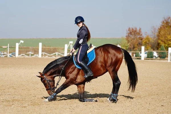 Jovem Cavaleira Montando Cavalo Marrom Paddok Livre Espaço Cópia Desporto — Fotografia de Stock